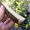 Yacon (Peruvian Ground Apple)