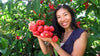 Jambu Wax Apple Plant ( Black King Kong ) *Coming Soon!*