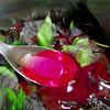 Magenta Leaf Plant AKA Lá Cẩm -- Natural Food Coloring!
