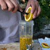 Peruvian Yellow Passion Fruit Plant