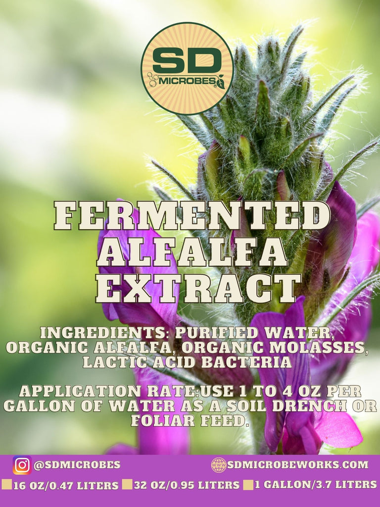 Alfalfa Fermented Plant Extract (FPE)