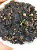 Rock Samphire Plant Seeds *Rare*