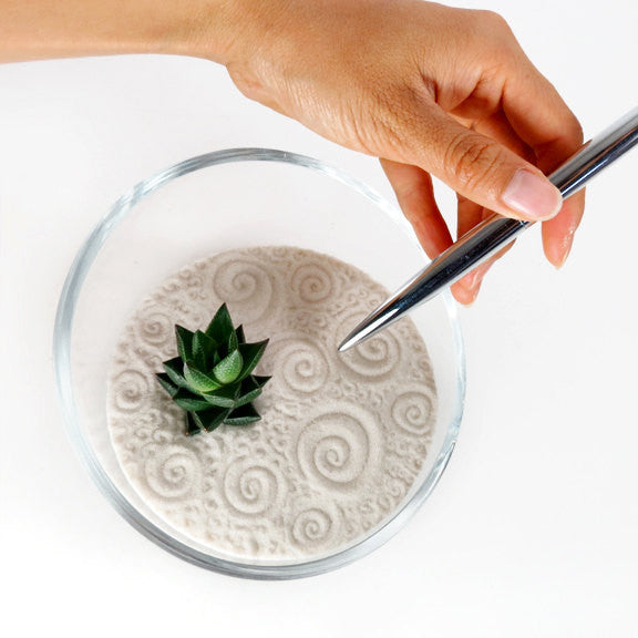 mini succulent zen garden Mini Succulent Zen Garden -- DISCOUNTED!